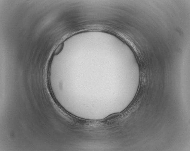 X0000115761475200912111035