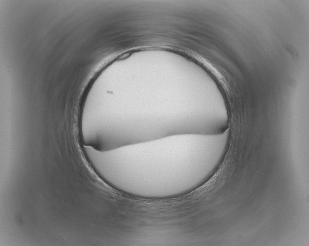 X0000115761477200912111035