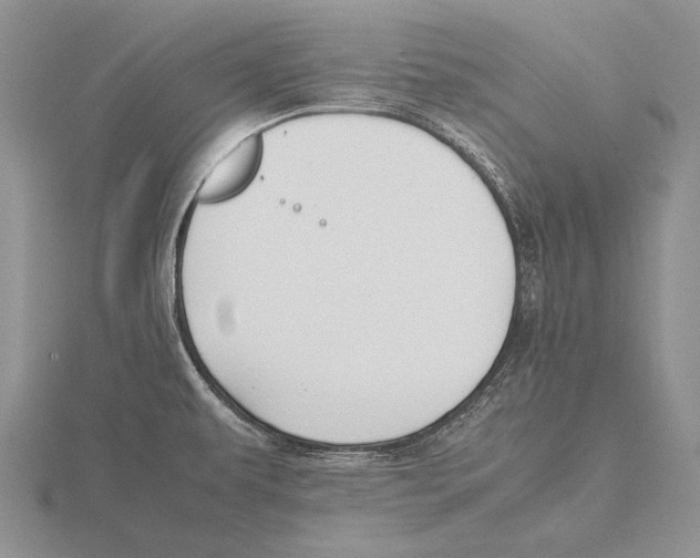 X0000115761479200912111035