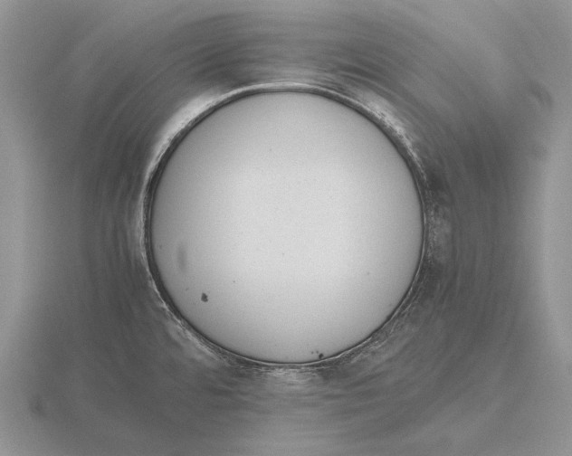 X0000115761480200912111035