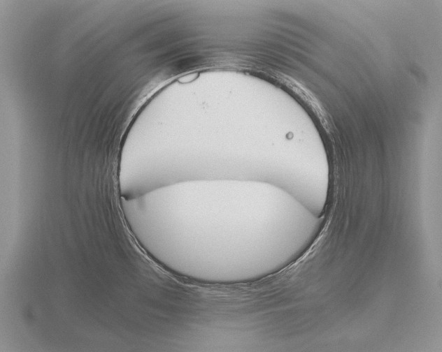 X0000115761481200912111035