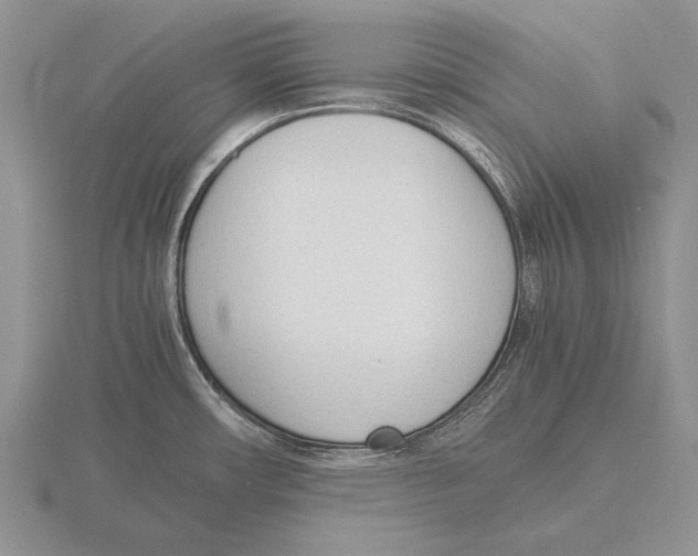 X0000115761482200912111035