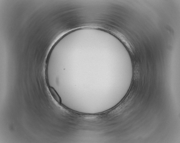 X0000115761484200912111035