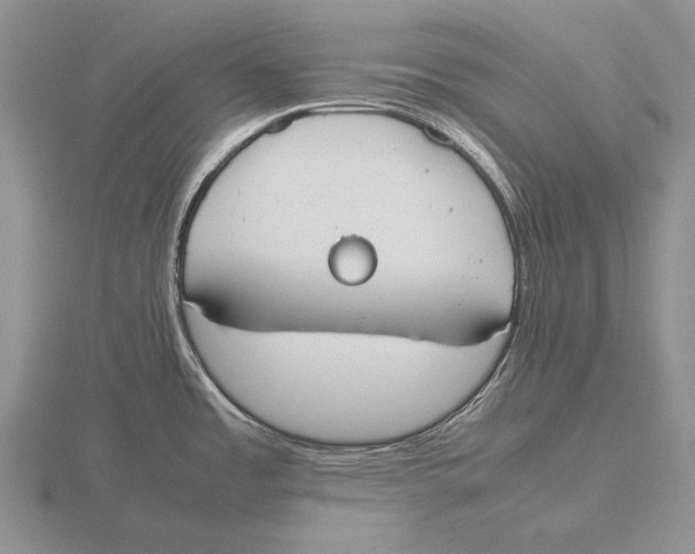 X0000115761485200912111035