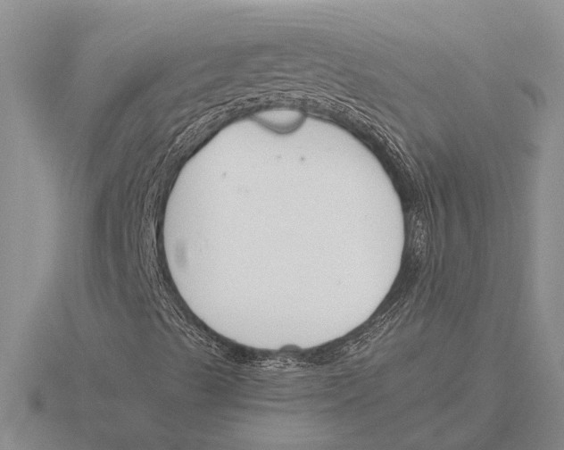 X0000115761489200912111035