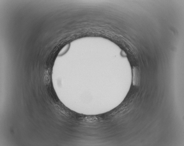 X0000115761491200912111035