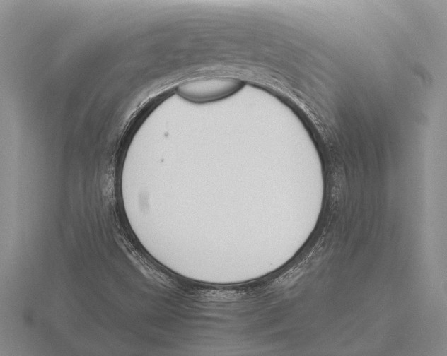 X0000115761499200912111035