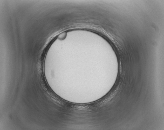 X0000115761501200912111035