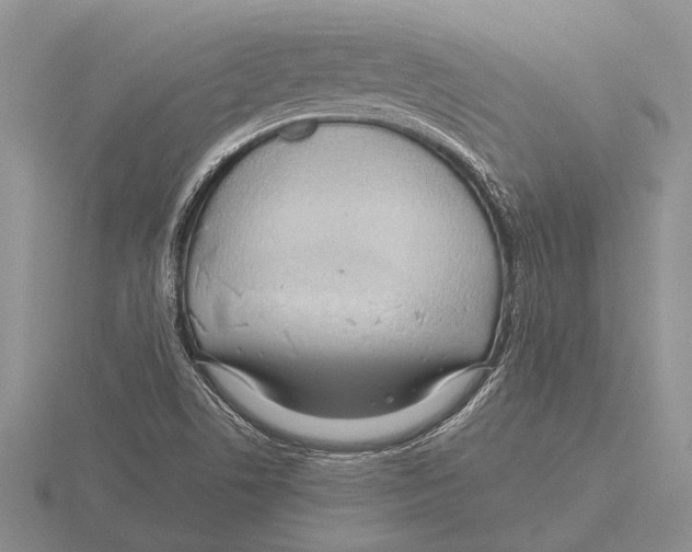 X0000115761506200912111035