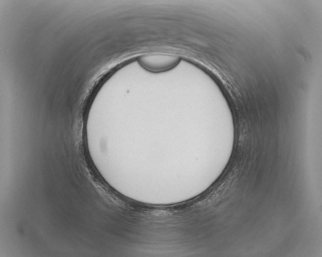 X0000115761507200912111035