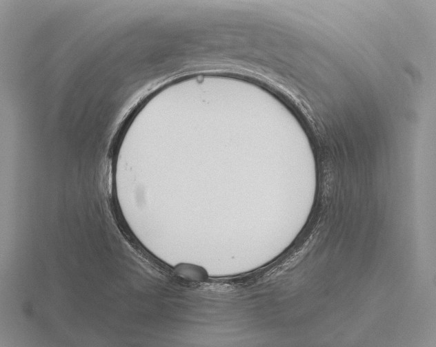 X0000115761509200912111035