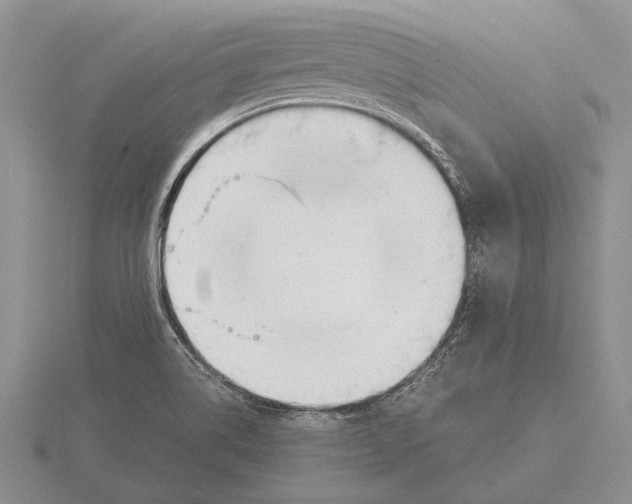 X0000115761514200912111035