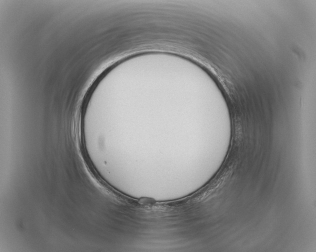 X0000115761515200912111035