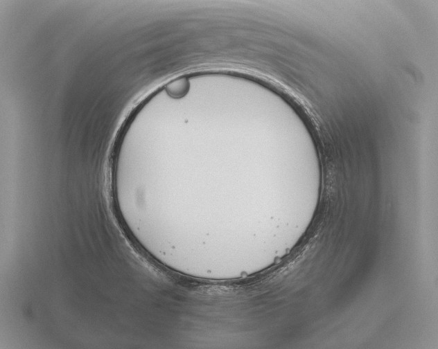 X0000115761517200912111035