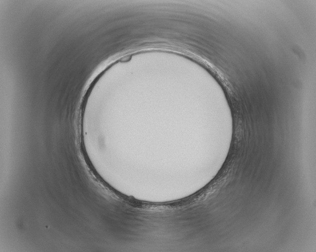 X0000115761522200912111035