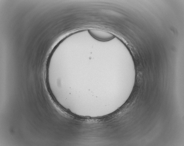 X0000115761523200912111035