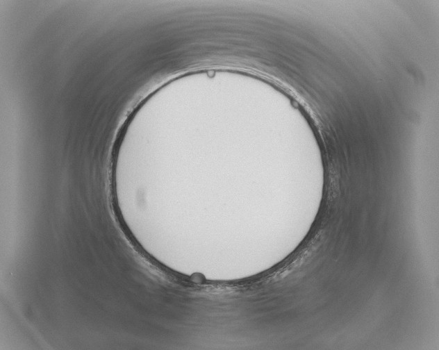 X0000115761525200912111035