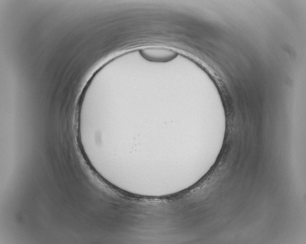 X0000115761526200912111035