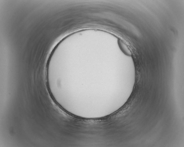 X0000115761527200912111035