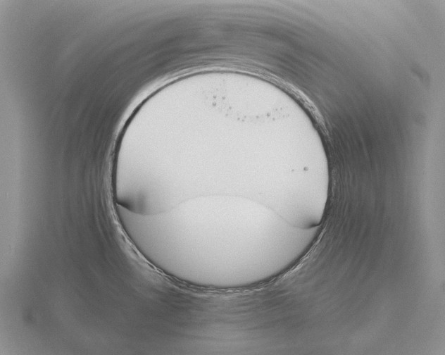 X0000115761530200912111035