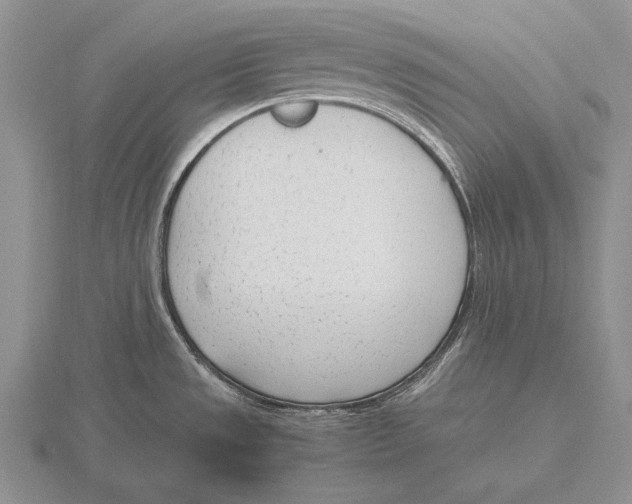 X0000115761533200912111035