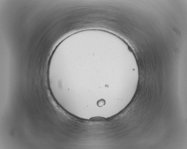 X0000115761534200912111035