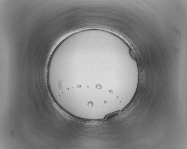 X0000115761535200912111035