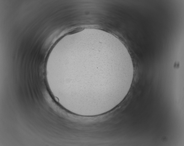 X0000115760002200912241738