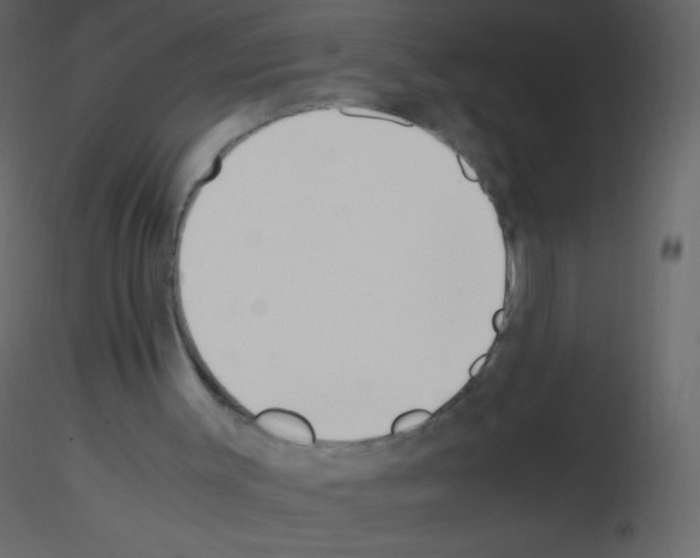 X0000115760003200912241738