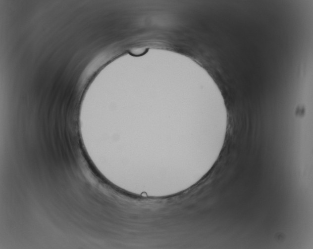 X0000115760004200912241738