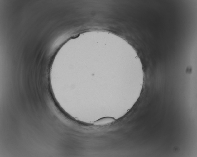X0000115760005200912241738