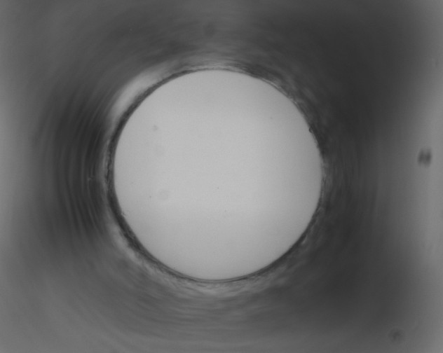 X0000115760006200912241738
