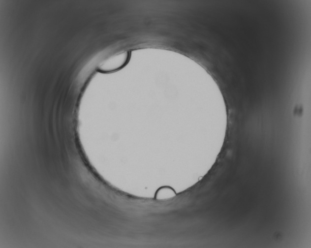 X0000115760007200912241738