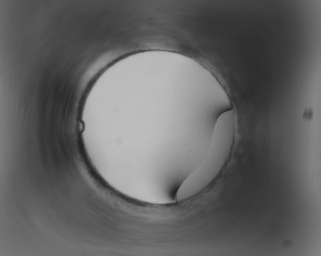 X0000115760008200912241738