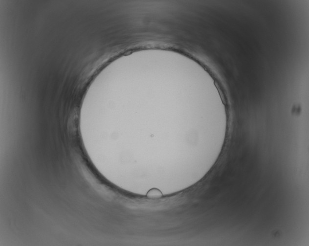 X0000115760009200912241738