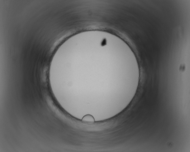 X0000115760010200912241738