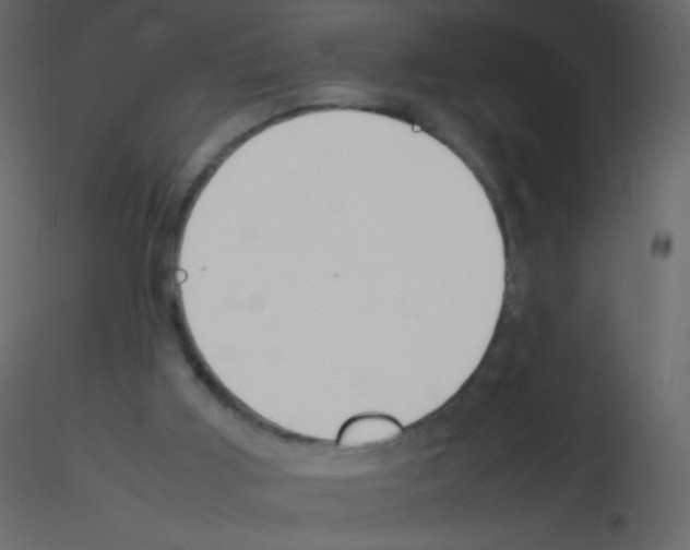 X0000115760011200912241738