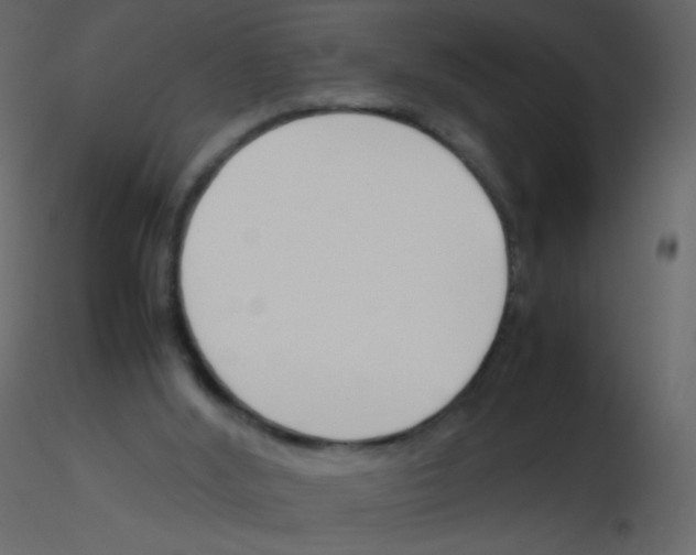 X0000115760012200912241738