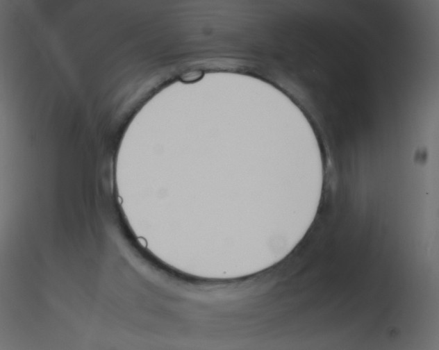 X0000115760013200912241738