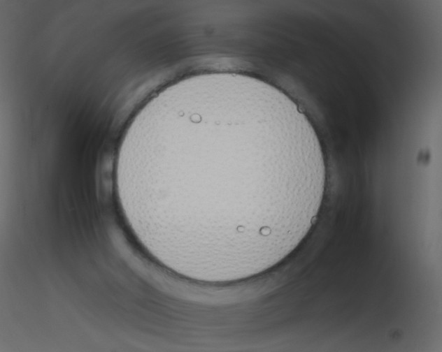 X0000115760014200912241738