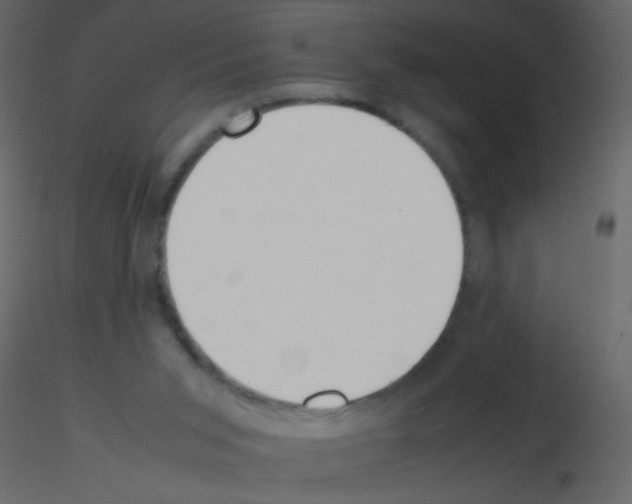 X0000115760015200912241738