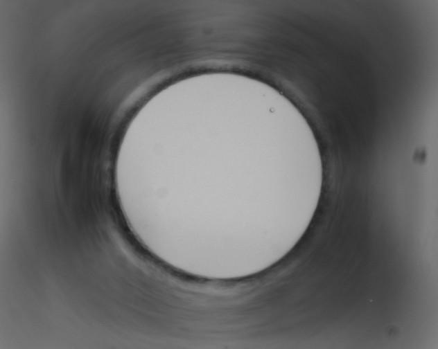 X0000115760016200912241738
