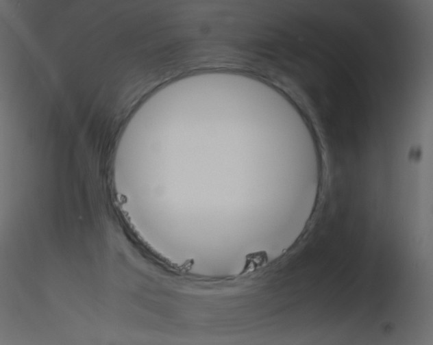 X0000115760017200912241738
