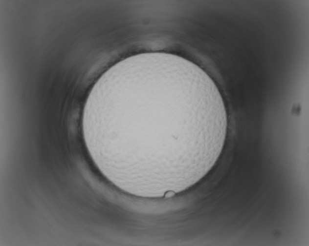 X0000115760018200912241738