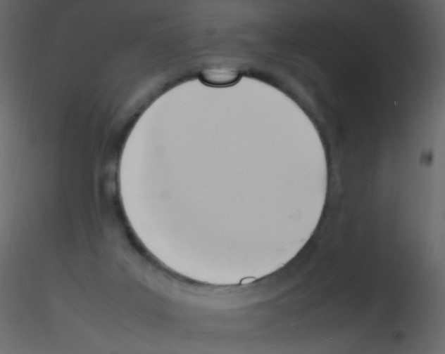 X0000115760019200912241738