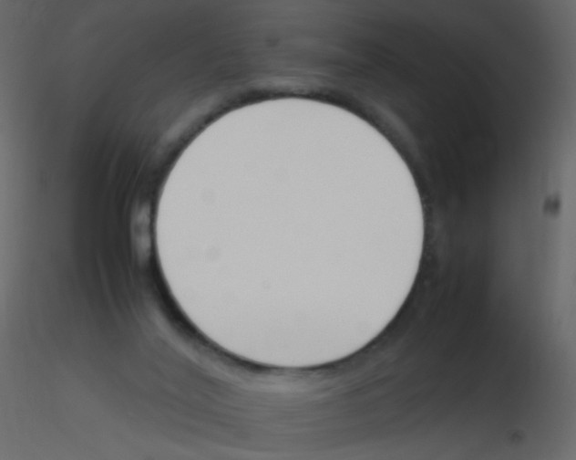 X0000115760020200912241738