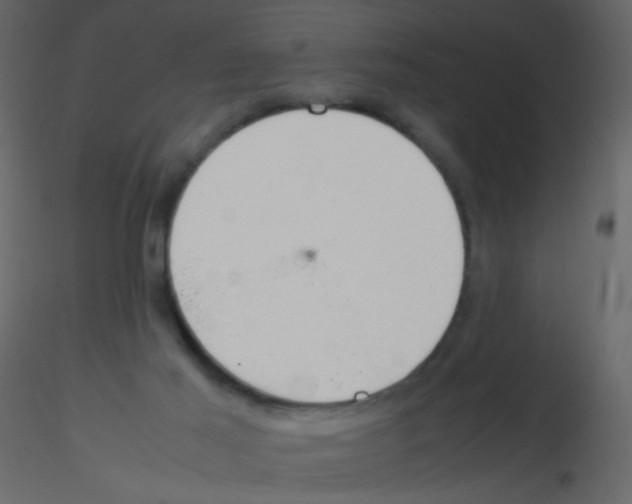 X0000115760021200912241738