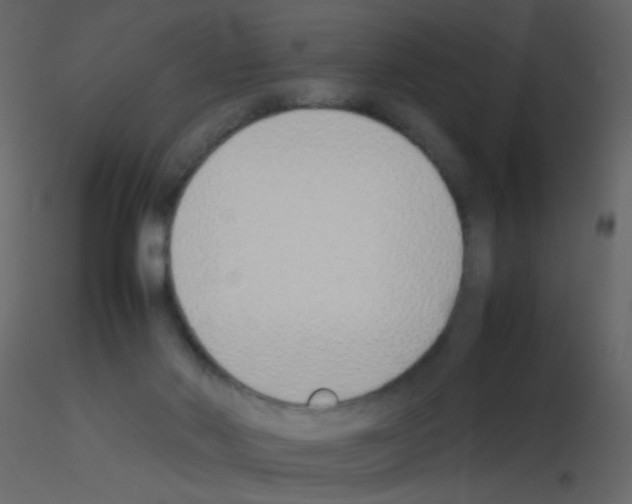 X0000115760022200912241738