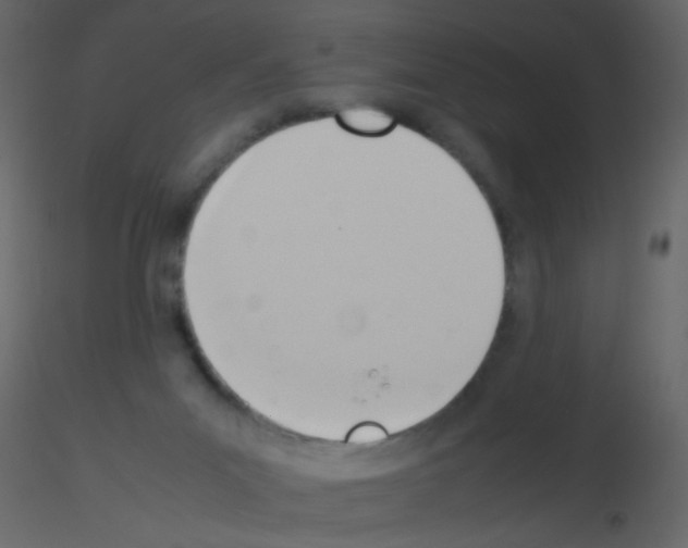 X0000115760023200912241738