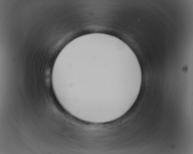 X0000115760024200912241738
